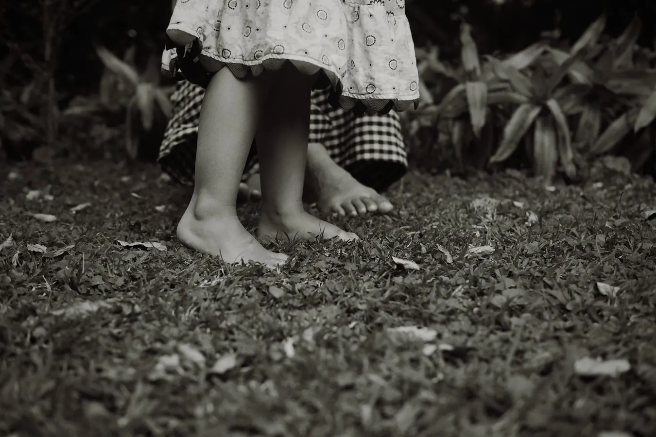 Bare feet and a small child's feet standing together in the grass